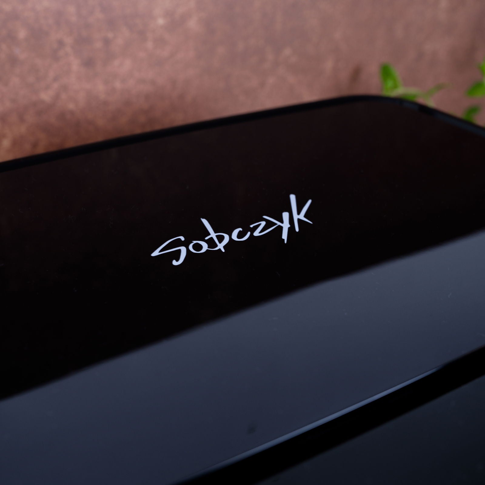 caspersobczyk.dk