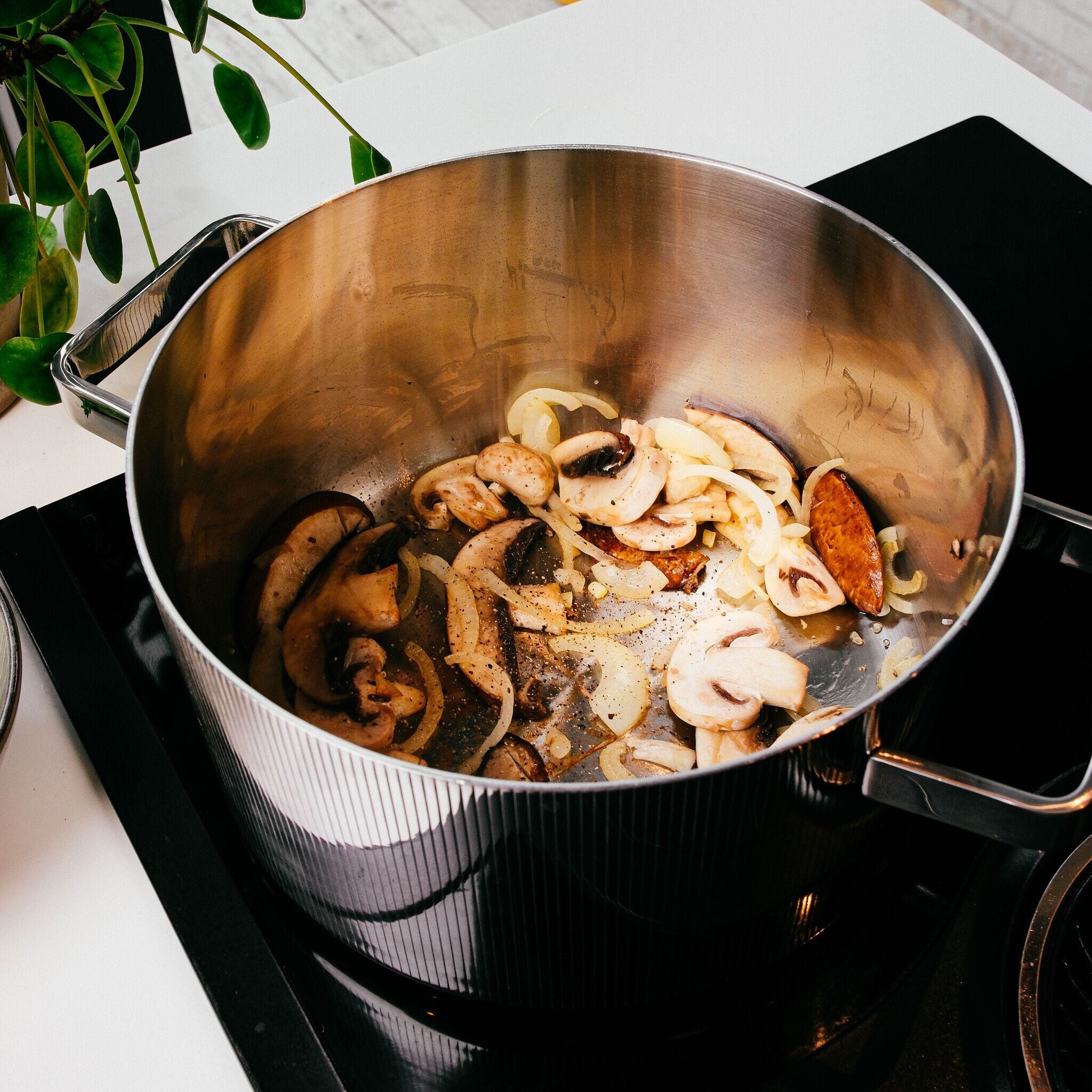 Stria Gryde m. låg Ø24cm – 6L